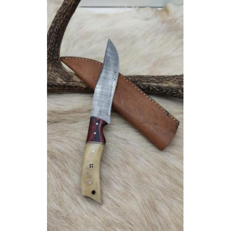 *** Couteau de chasse lame damas manche en os et mitre en bois de rose coloré ref 1003