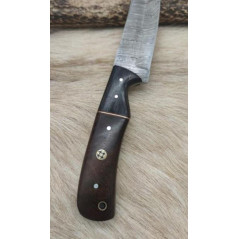 *** Couteau de chasse lame damas manche en bois de noyer et mitre en bois de rose coloré ref N11