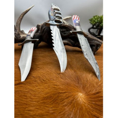 Lots de 3 couteaux de collection type poignard avec étui CM59