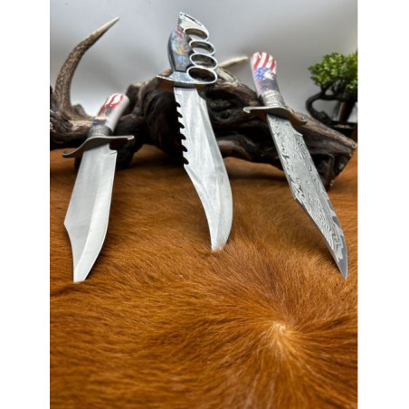 Lots de 3 couteaux de collection type poignard avec étui CM59