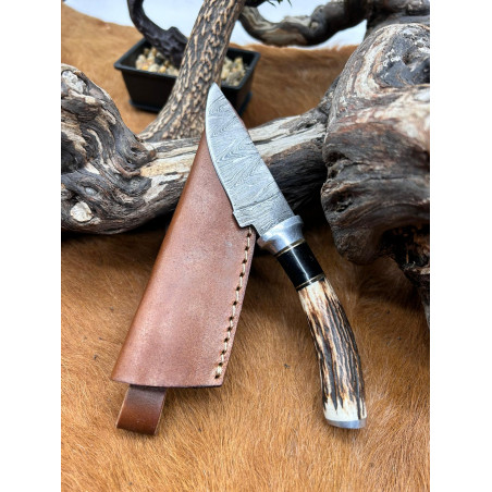 Mini couteau bowie de 18cm avec etui en cuir lame acier damas manche en bois de cerf _b18 CM82