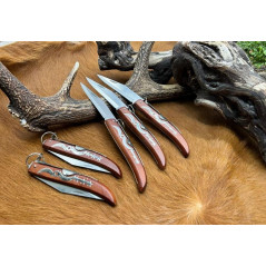 Lot de 5 couteaux de poche Manche en bois ref 2031 CM116