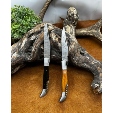 Magnifique lot de deux couteaux damas avec tire bouchons manche en bois et en corne avec etui en cuire ref L1