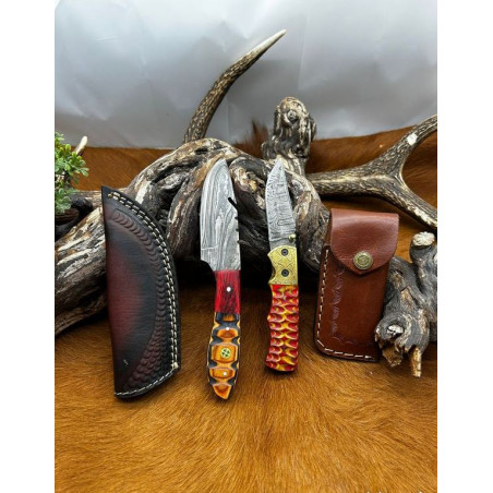 Pour collectionneur Magnifique Lot de deux couteaux damas L105