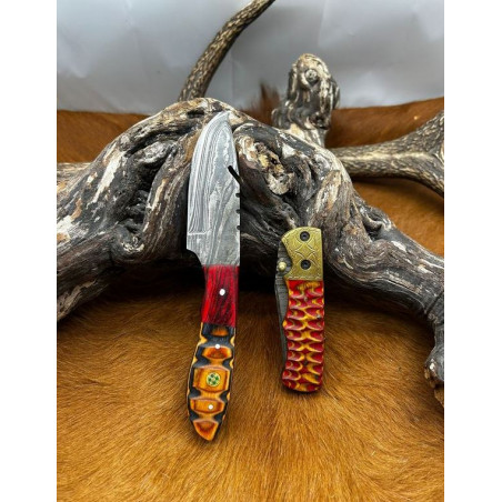 Pour collectionneur Magnifique Lot de deux couteaux damas L105
