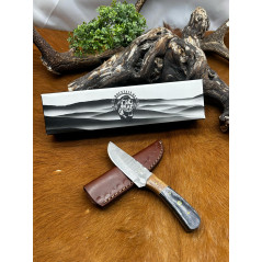 Magnifique petit Couteau smoky Mountain Blades lame en acier Damas et manche en Bois vendu dans sa boîte ref SMB130