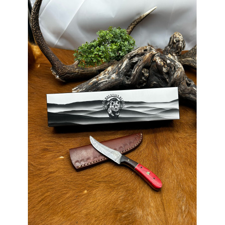 Magnifique petit Couteau smoky Mountain Blades lame en acier Damas et manche en Bois vendu dans sa boîte ref SMB126