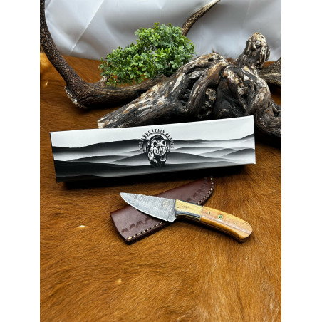 Magnifique petit Couteau smoky Mountain Blades lame en acier Damas et manche en Bois vendu dans sa boîte ref SMB124