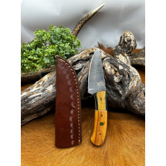 Magnifique petit Couteau smoky Mountain Blades lame en acier Damas et manche en Bois vendu dans sa boîte ref SMB124