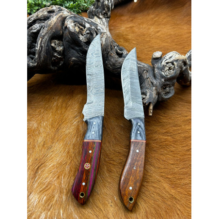 Lot de 2 couteaux lame fixe Damas 256 couches manche en bois ref D32
