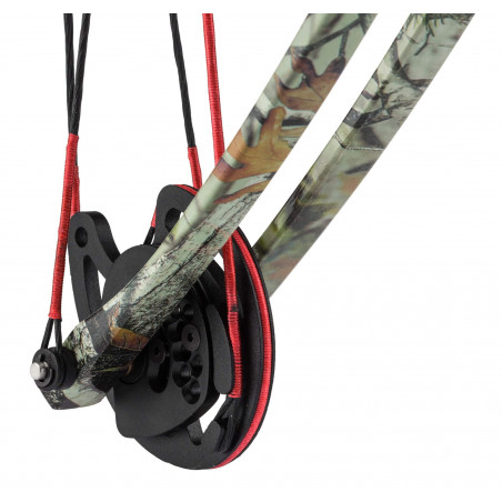 ENSEMBLE DE CORDE ET POULIES POUR ARC COMPOUND